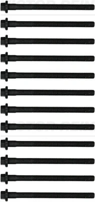 Cylinder Head Bolt Set